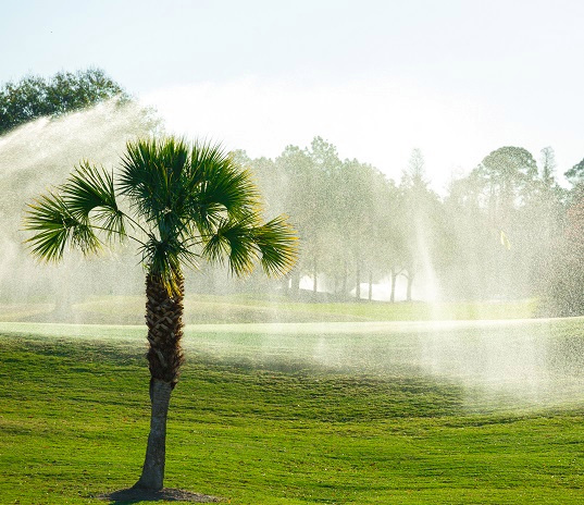 Cypress Creek Greens